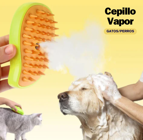 Cepillo Vapor Electrico